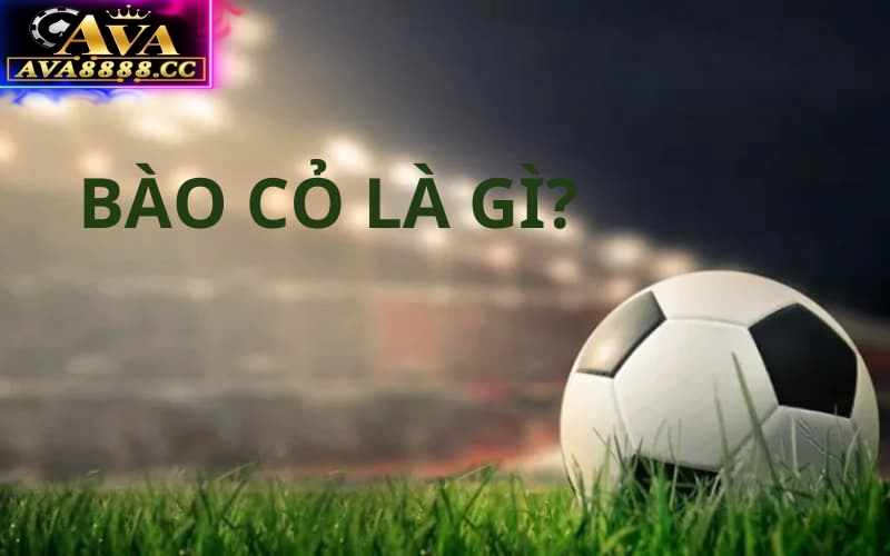 Tìm hiểu về định nghĩa của thuật ngữ “Bào cỏ”