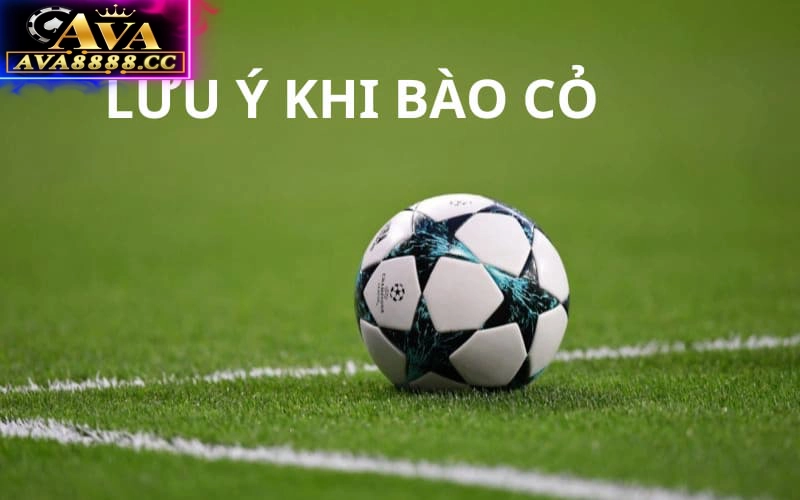 Những lưu ý khi thực hiện Bào Cỏ