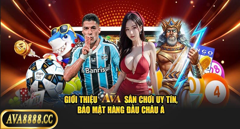 Giới thiệu Ava8888 về chất lượng dịch vụ tốt